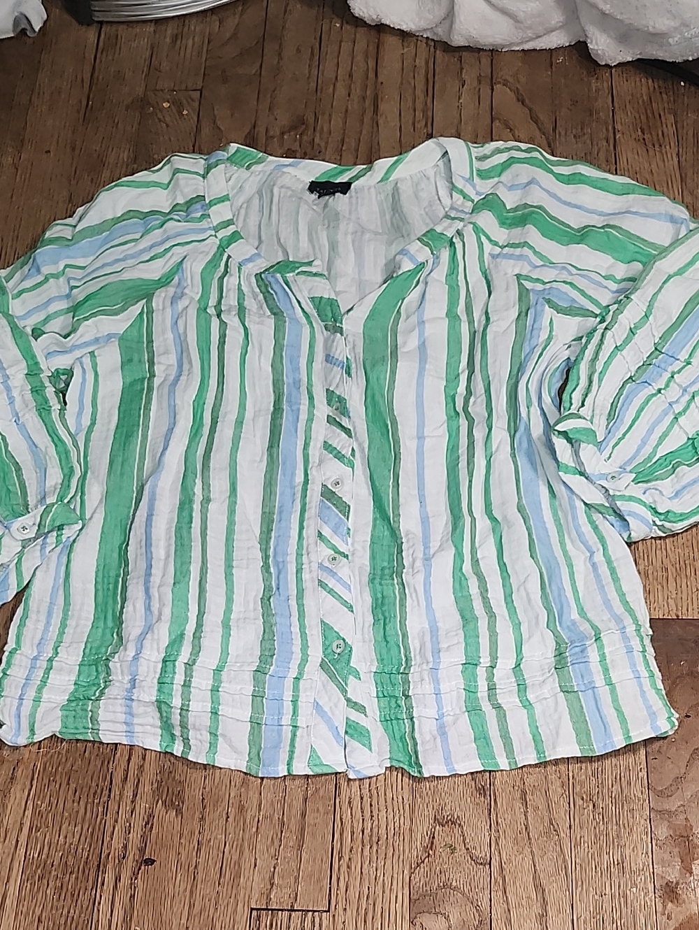 Talbots White, Green and Light Blue Striped Cotton Button Blouse